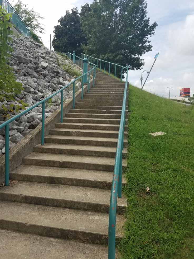 wp-1472048231715.jpg