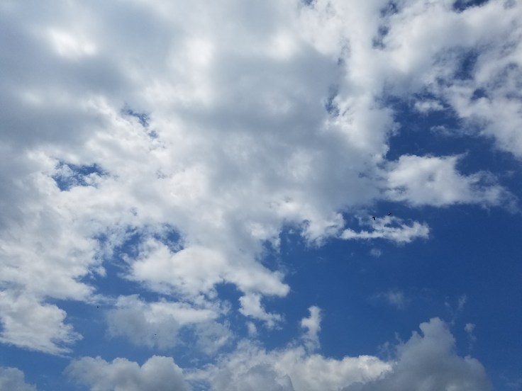 wp-1473357054096.jpg
