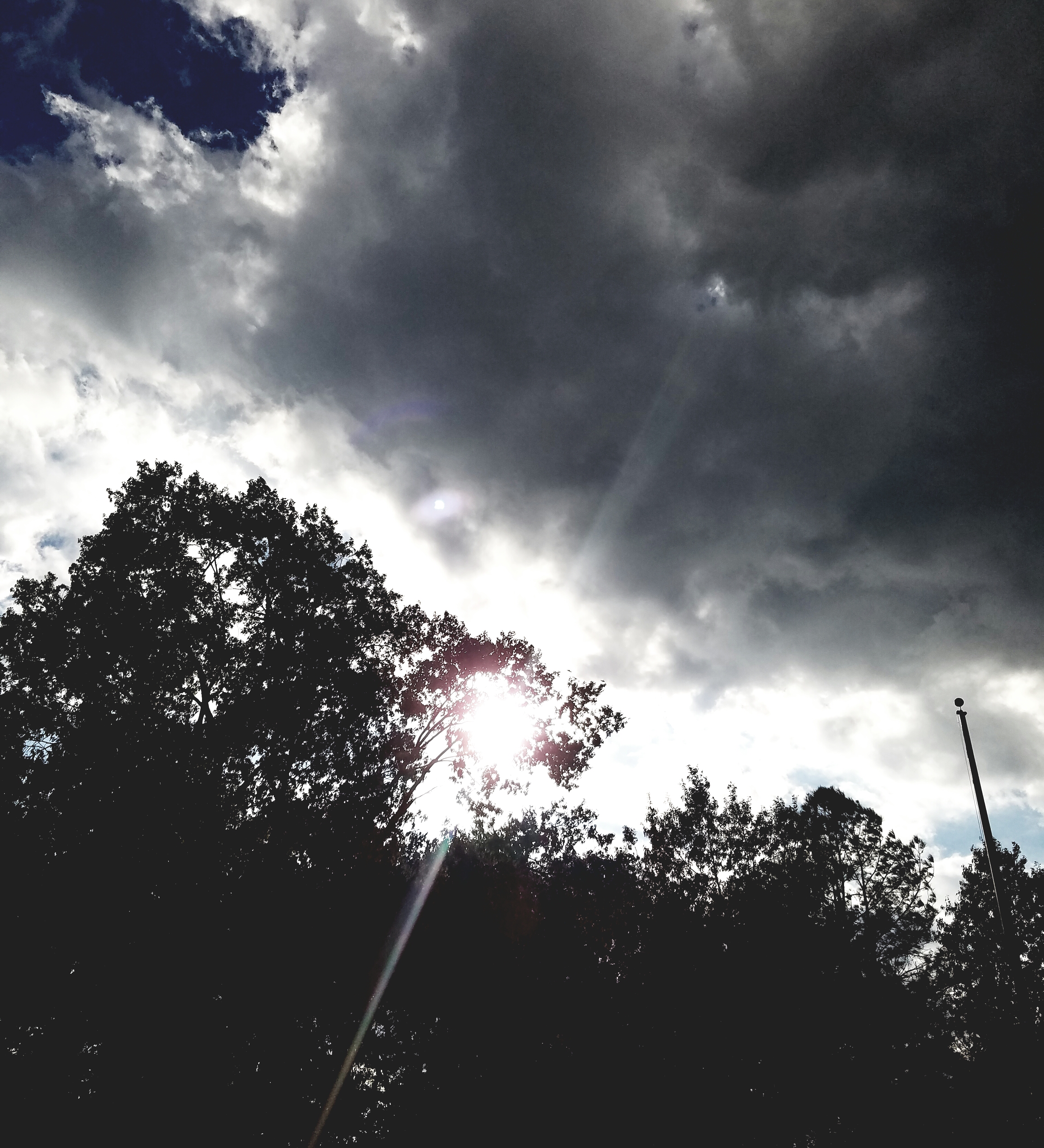 20161001_131101.jpg
