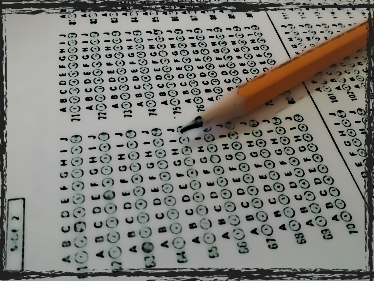 wp-1478882932388.jpg