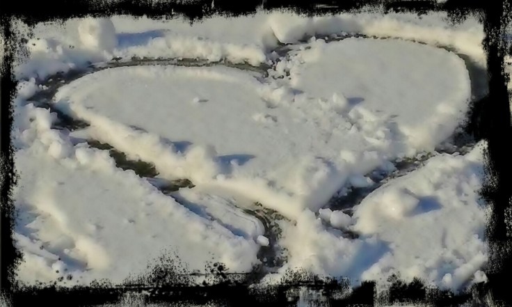 wp-1479314569459.jpg