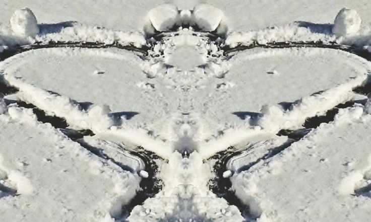 wp-1479314586974.jpg