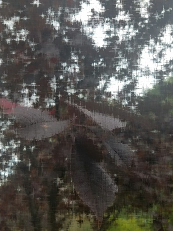 wp-1479644941189.jpg