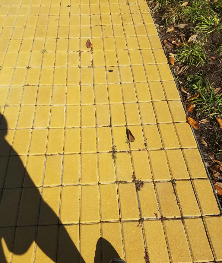 20161221_185306.jpg