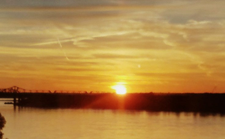 wp-1481631184101.jpg
