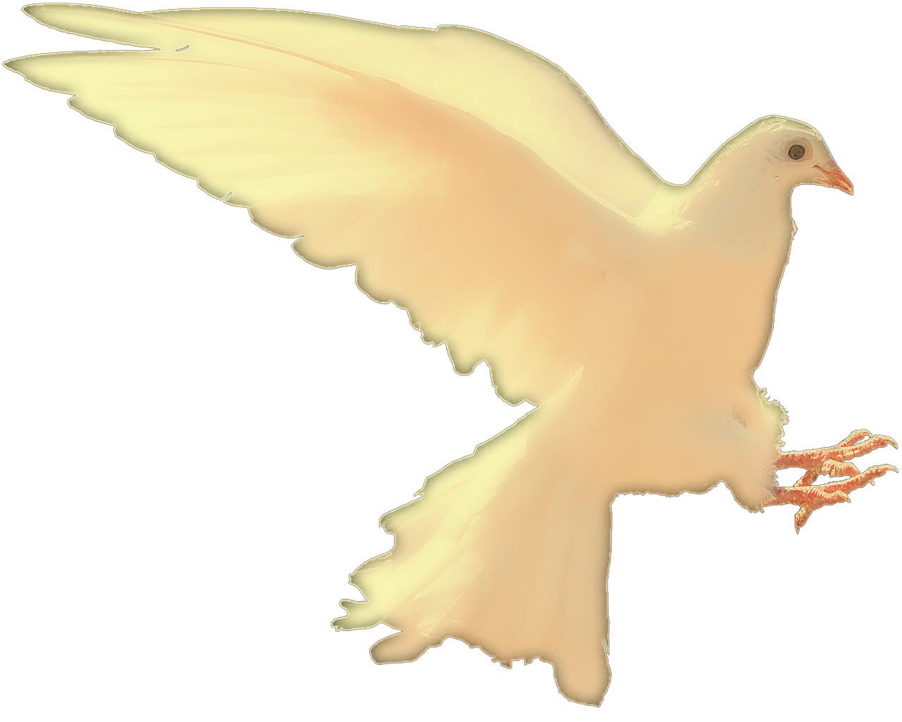 wp-1481860716243.png