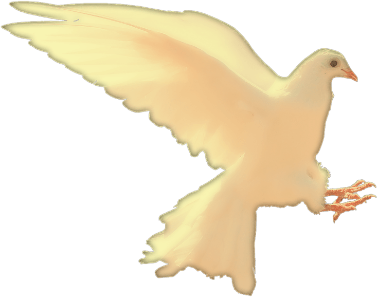 wp-1481860716243.png