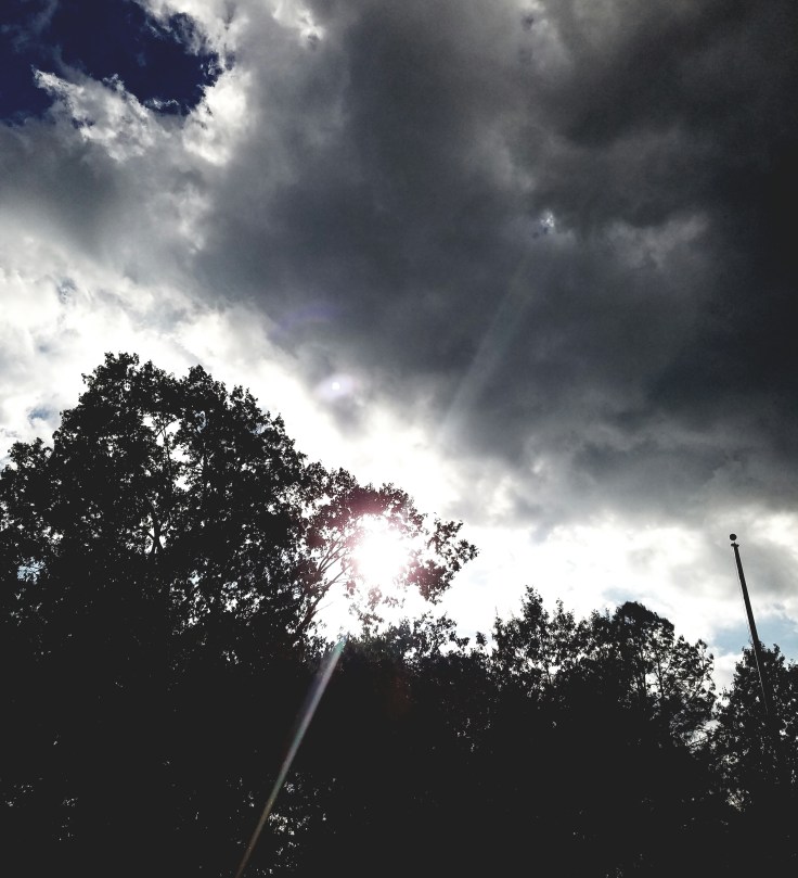 20161001_131101.jpg