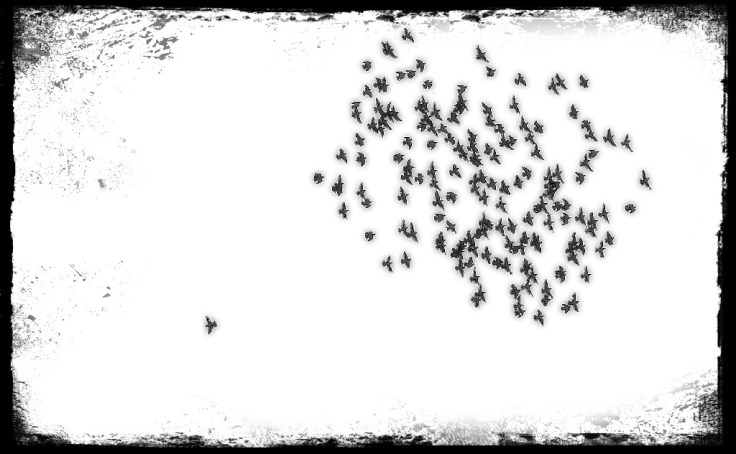 wp-1494277033698.