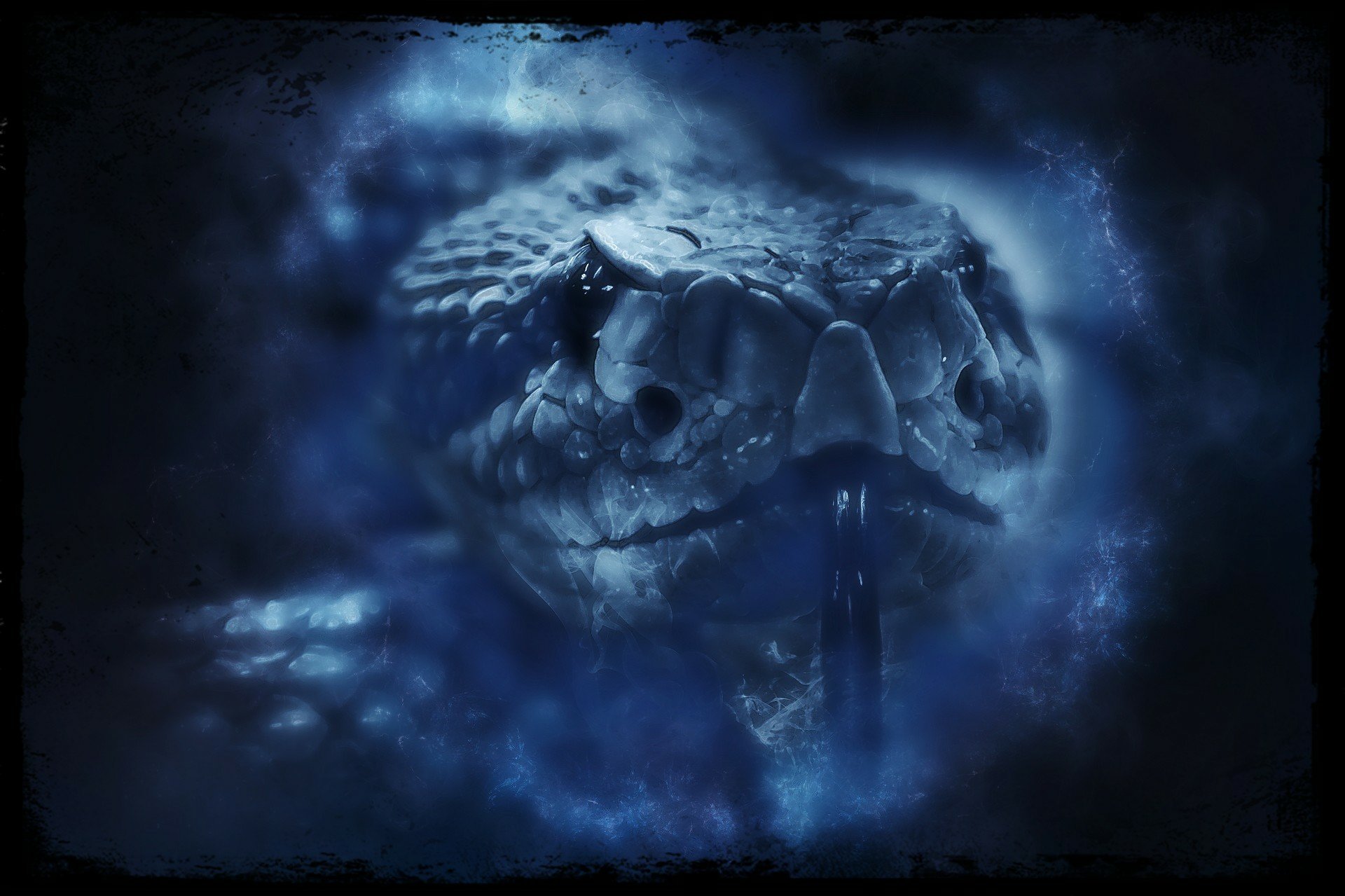 wp-image-245393964