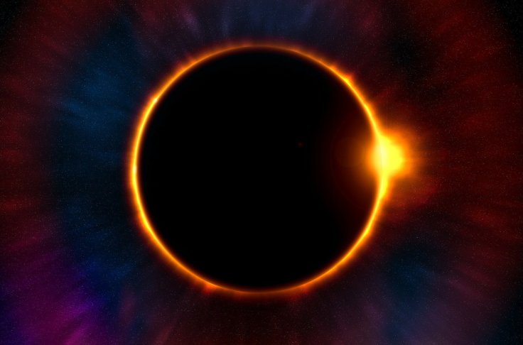 wp-image-64313745