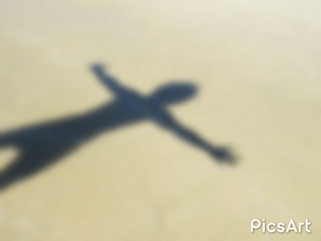 wp-1495895436440.